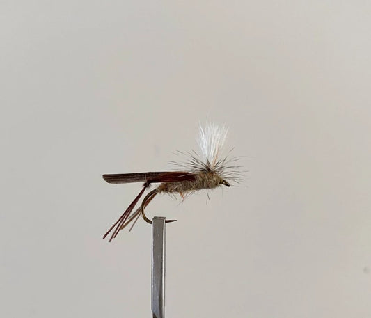 Schroeder Hopper #14