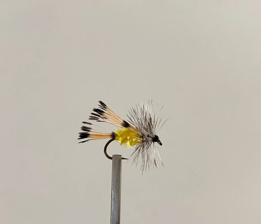 O'Brien's Hopper #14