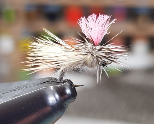 Parachute Caddis #16 - Pink