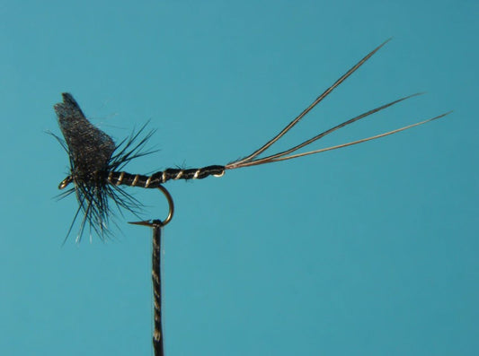 Mayfly - Black