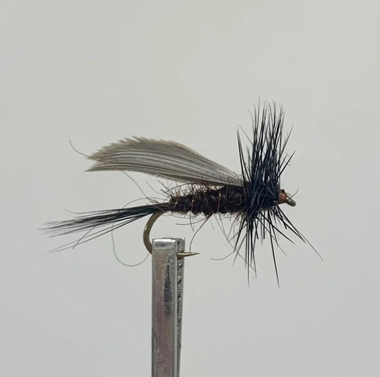Tassie Dunn Emerger