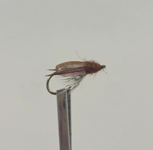 Water Boatman - Brown #14