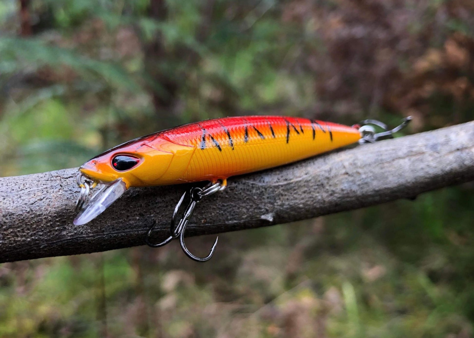 Liquid Gold 65mm Minnow - Golden Sunset – Trophy Trout Lures and Fly Fishing