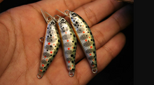 Load image into Gallery viewer, PAN Handmade Lures 45mm 4g Sinking - Salmo Trutta