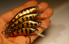 Load image into Gallery viewer, PAN Handmade Lures 55mm 5.8g Sinking - Golden Brown Trout