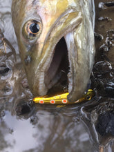 Load image into Gallery viewer, Bullet Lures Five-O Minnow Sinking (Spawning Brown Trout)